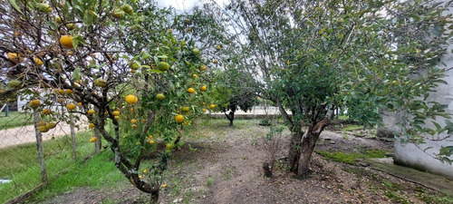 Venta Casa 2 Dormitorios Fray Marcos Con Cochera