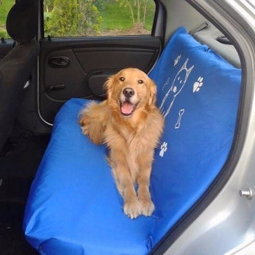 Forro Protector Para La Cojíneria Del Carro