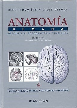 Anatomia Humana Vol4 Sistema Nervioso Centra Cntro Nervioso 