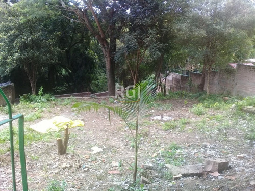 Terreno Em Teresópolis - Bt8604
