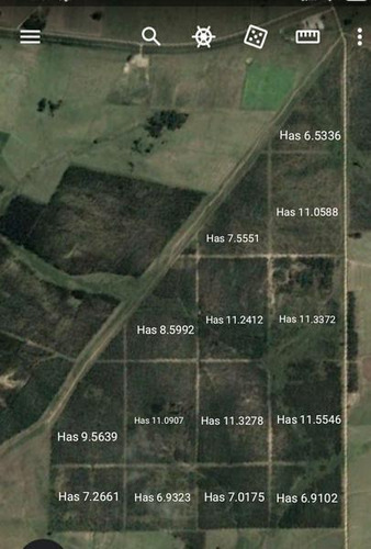 Campo De 141 Has En Florida. 100% Forestal. Crecimiento De Madera De 5 Años (eucalyptus Colorado). Se Cuenta Con Proyecto Forestal Del Mgap. Oportunidad Única! Sobre Ruta 7 A 100 Km De Montevideo!