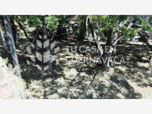 Renta Terreno Cuernavaca Centro