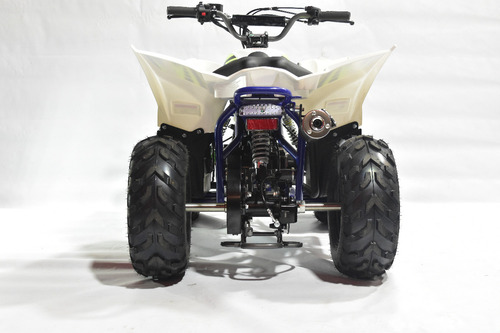 Cuatrimoto Moto Plr 110cc Raptor Motor 4t