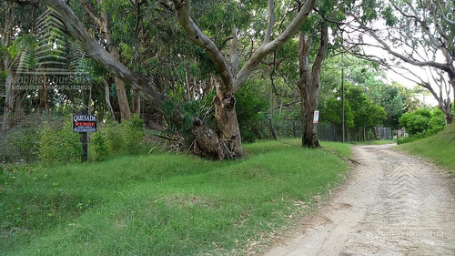 Imagen 2 de 7 de Terreno - Aguas Verdes