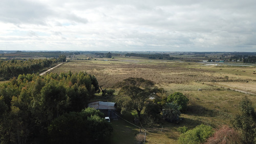 Campo 8,5 Has Con Casa, Galpones Y Tajamares Ruta 7 Km 40
