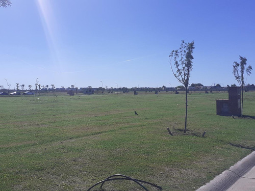 Imagen 12 de 22 de Terreno - Carpinchos