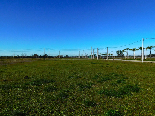 Venta Lote En El Lazo En Exaltacion De La Cruz