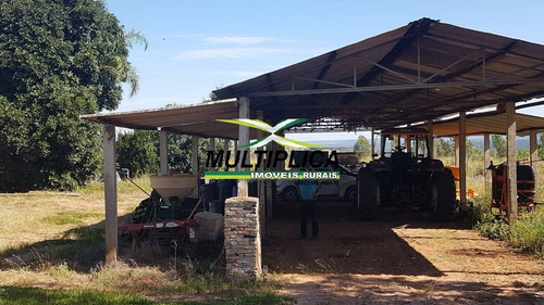 Imagem 4 de 13 de Fazenda 250 Ha, R$19.200,00 Por Ha Pres. Olegário, Agricultura E Pecuária - 407