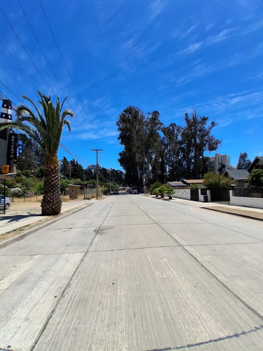 Local A Paso De Playas Y Comercio Algarrobo