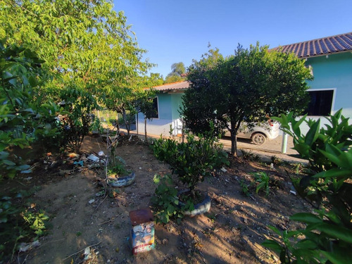 Imagem 11 de 15 de Casa Para Venda Em Piên, Trigolândia, 3 Dormitórios, 2 Banheiros, 10 Vagas - Pie2200_1-2209259