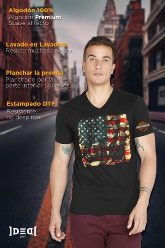 Playera Harley Bandera Cuello Redondo