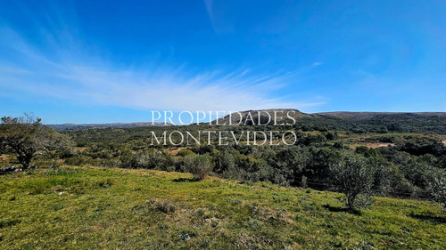 Casa En De Campo En Venta 5 Hectareas - Aigua, Maldonado