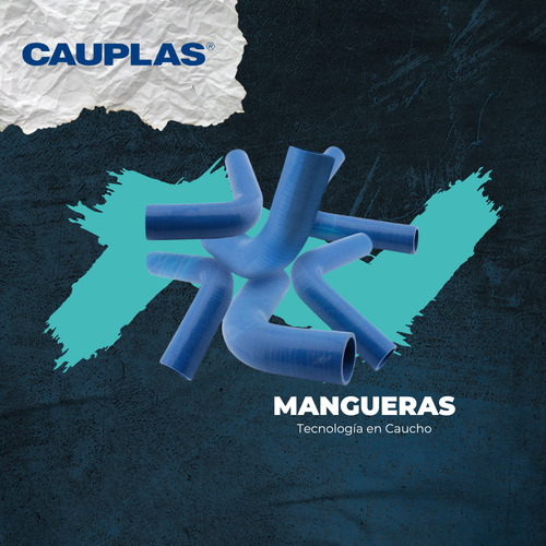 Manguera De Combustible Tsuru Ii 1.6l 1991