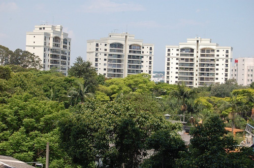 Imagem 13 de 14 de Venda Apartamento Santo Andre Jardim Ref: 7563 - 1033-7563