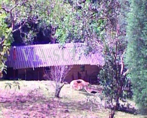Imagem 15 de 30 de Sitio À Venda Em Juquitiba - 370 - 32982574