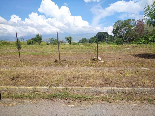 Imagen 1 de 5 de Liliana Martinez Remax Terreno Para Uso Comercial Con Ubicación Estratégica. Guacara Cd 451542