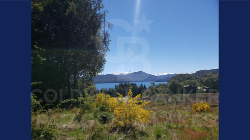 Imagen 5 de 14 de Venta Lote/terreno 8325 M2 Barrio Epulafquen Vista Al Lago Excelente Ubicación Villa La Angostura