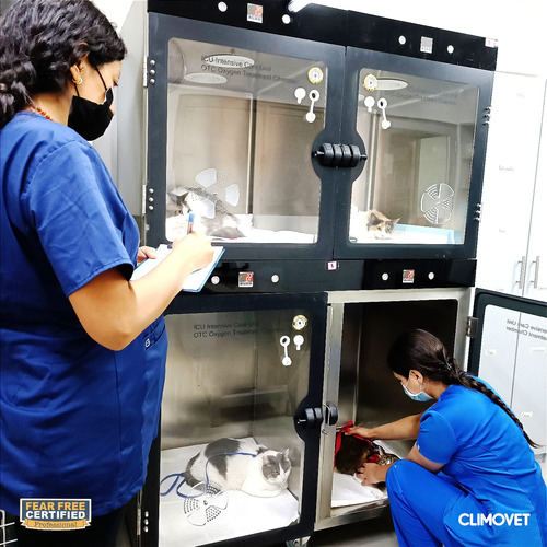 Servicio De Odontología Veterinaria
