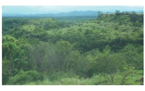 Imagen 10 de 14 de Guanacaste, Bagaces Vendo Finca. Financio El 70% Directo Sin Banco