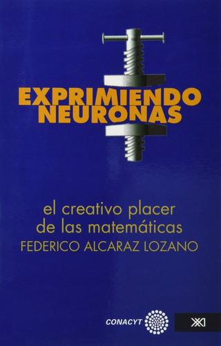 Experimentando Neuronas El Creativo Placer De Las Matematica