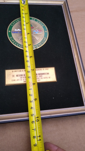 Placa Antigua Carabineros Bienestar (Usado)