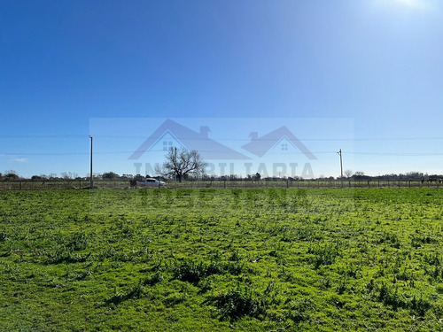 Parcela / Quinta / Chacra / Lote De 1 Ha. (10.000 M2) En Venta. Excelente Ubicación De General Belgrano. Zona De Calle 111 Y 178, Sociedad Rural.