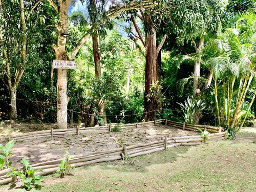 Imagen 6 de 29 de Se Vende Casa 200m2 2h/3b/4p Los Guayabitos