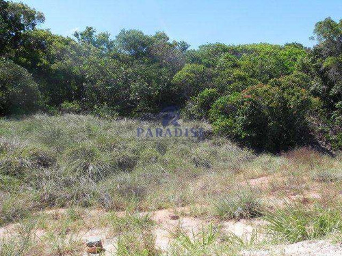 Imagem 8 de 8 de Sítio, Área Rural De Camaçari, Camaçari - R$ 250 Mil, Cod: 23900 - V23900
