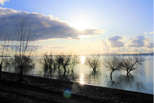 Terreno Con Acceso Al Lago Cercano A Pucón.