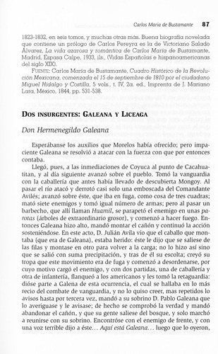 Historiadores De Mexico Siglo Xix, De Flores Torres, Oscar. Editorial Trillas, Tapa Blanda En Español, 2003