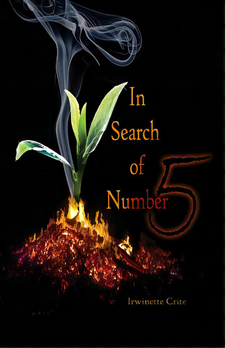 In Search Of Number 5, De Crite, Irwinette. Editorial Rosedog Books, Tapa Blanda En Inglés
