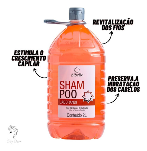 Kit 1 Shampoo + 1 Condicionador Jaborandi 2l Brilho E Maciez