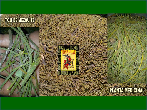 Te Toji De Mezquite 250gr Planta Organica Seca
