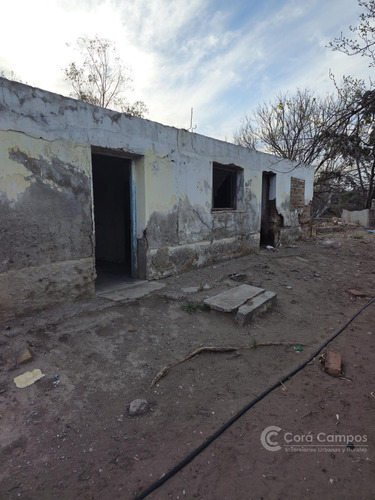 Se Vende Campo Ganadero De 3500 Ha En Mendoza, Argentina