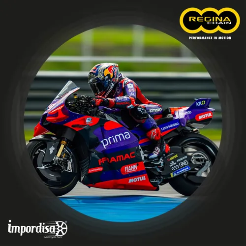 Cadena Urban Regina Dorada 428 X 132 Tvs Apache 160 2v