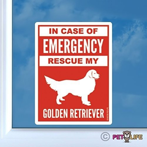 En Funda Para De Emergencia Rescate Mi Golden Retriever Pega