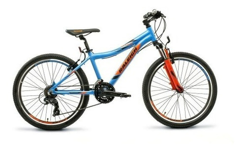 Imagen 1 de 1 de Bicicleta Mtb Raleigh Scout Rodado 24