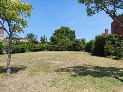 Imagen 3 de 18 de Venta Lote En La Alameda
