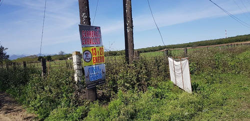 Imagen 3 de 3 de Terreno Renta En Carretera Nacional Allende N.l