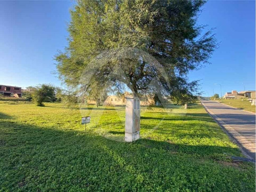 Imagen 5 de 8 de Venta Lote La Arbolada