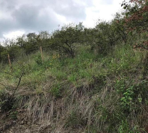 Imagen 9 de 23 de Terreno En Villa La Serranita Con Escritura