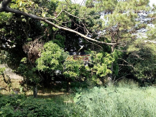 Terreno Comercial À Venda, Macedo, Guarulhos - Te0204. - Ai6031