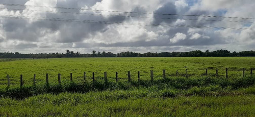 Imagen 5 de 27 de Se Vende Finca El Maitero Via El Sur De Monagas Ve02-1098vs-mtru