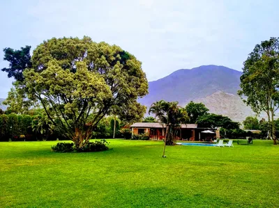 Casa en alquiler temporal