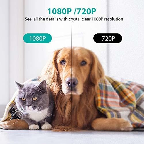 Netvue Indoor Camera, Cámara De Seguridad Mejorada Con...