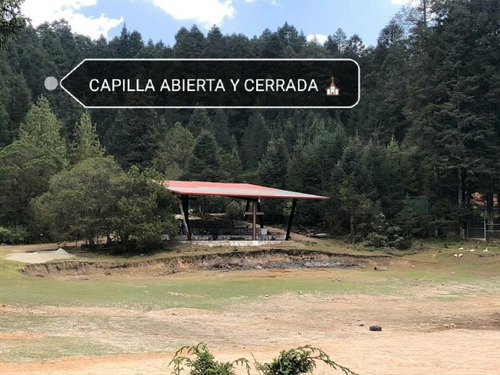 Imagen 4 de 12 de Terreno En Venta Lotes En Precioso Bosque Con Amenidades, Propiedad En Regla