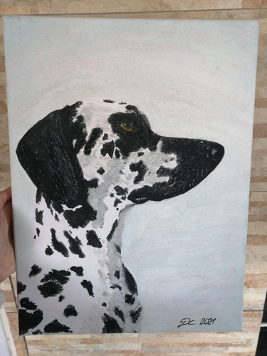 Pintura Por Encargo Mascotas Personalizada Lienzo 40x50cm