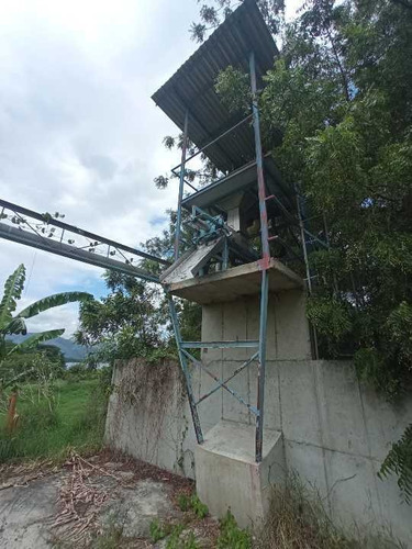 Imagen 15 de 30 de Granja Porcina O Unidad De Producción La Victoria, Aragua.