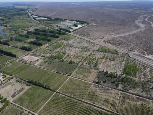 Imagen 6 de 6 de Lote Terreno En Añelo Neuquén