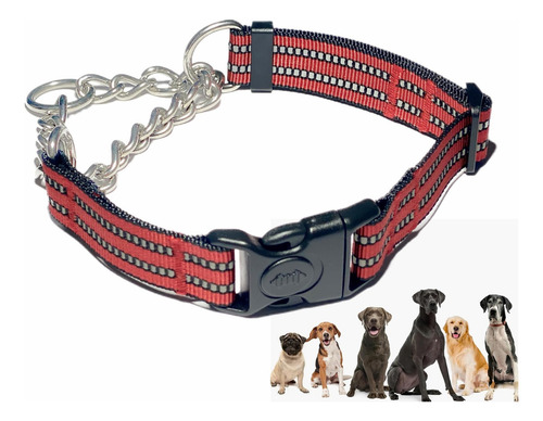 Collares para perros Qichenmao Martingale, collar de entrenamiento